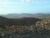 pajara1