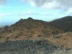 pajara2