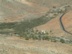 pajara3